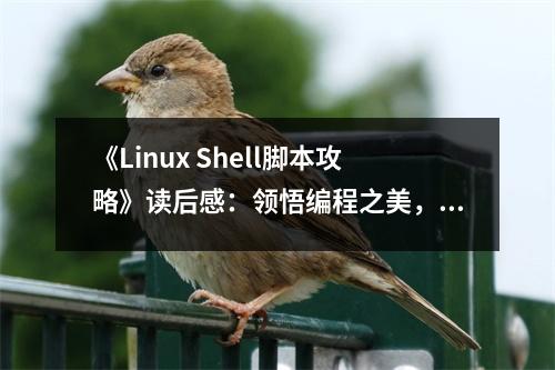 《Linux Shell腳本攻略》讀后感：領悟編程之美，心靈相通 (750字)