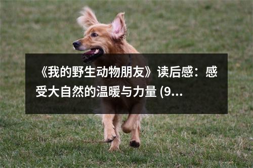 《我的野生動物朋友》讀后感：感受大自然的溫暖與力量 (950字)