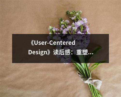 《User-Centered Design》讀后感：重塑設計之魂，激發(fā)創(chuàng)新火花 (1200字)