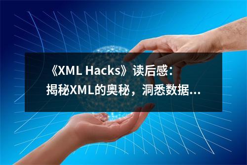 《XML Hacks》讀后感：揭秘XML的奧秘，洞悉數(shù)據(jù)之美 (700字)