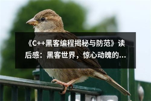 《C++黑客編程揭秘與防范》讀后感：黑客世界，驚心動(dòng)魄的探險(xiǎn)之旅 (1000字)