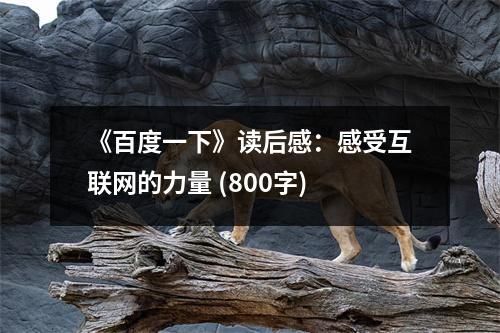 《百度一下》讀后感：感受互聯(lián)網(wǎng)的力量 (800字)