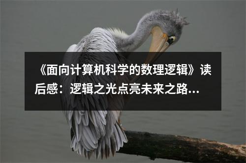 《面向計(jì)算機(jī)科學(xué)的數(shù)理邏輯》讀后感：邏輯之光點(diǎn)亮未來之路 (800字)