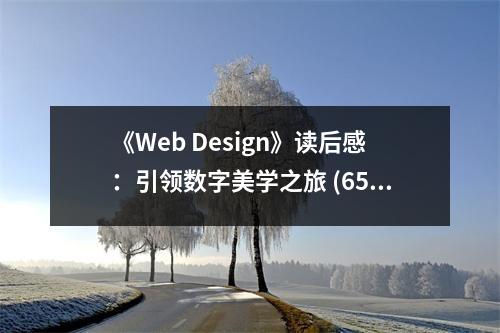 《Web Design》讀后感：引領(lǐng)數(shù)字美學(xué)之旅 (650字)
