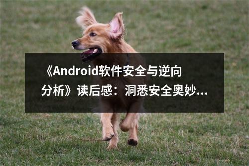 《Android軟件安全與逆向分析》讀后感：洞悉安全奧妙，探秘逆向世界 (1000字)