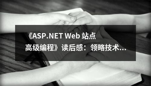 《ASP.NET Web 站點(diǎn)高級編程》讀后感：領(lǐng)略技術(shù)魅力，開啟編程新篇章 (650字)