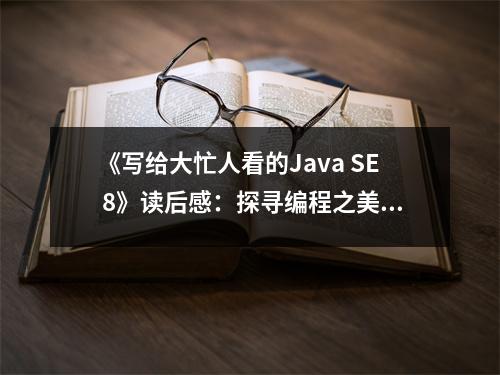 《寫給大忙人看的Java SE 8》讀后感：探尋編程之美，邂逅智慧之光 (800字)
