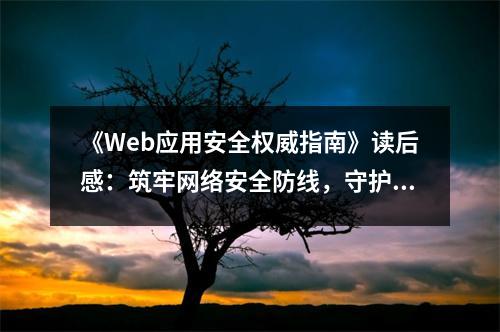 《Web應(yīng)用安全權(quán)威指南》讀后感：筑牢網(wǎng)絡(luò)安全防線，守護數(shù)字家園 (850字)