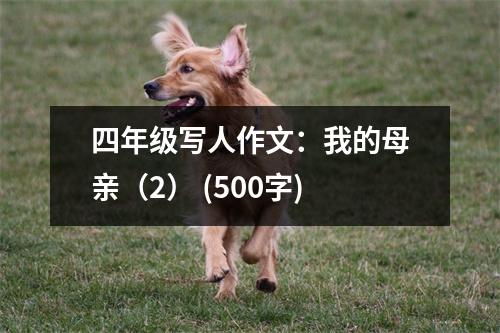 四年級寫人作文：我的母親（2） (500字)