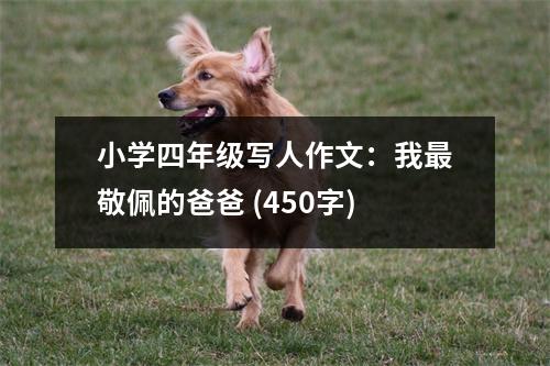 小學四年級寫人作文：我最敬佩的爸爸 (450字)