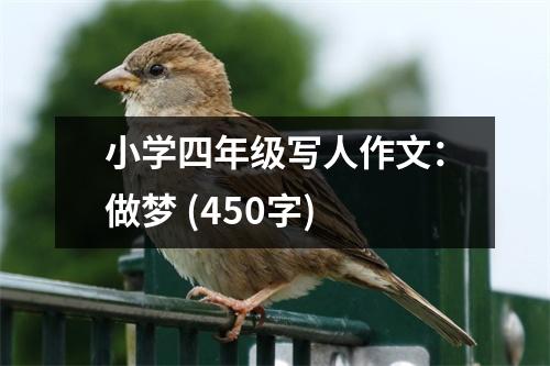 小學(xué)四年級(jí)寫人作文：做夢(mèng) (450字)