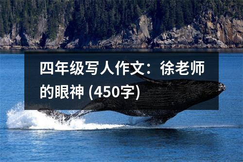四年級(jí)寫人作文：徐老師的眼神 (450字)