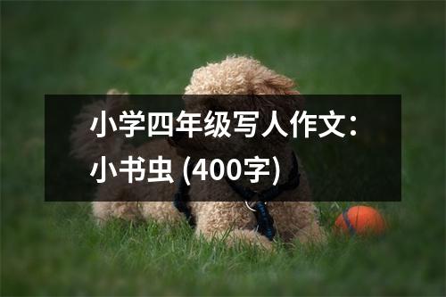 小學四年級寫人作文：小書蟲 (400字)