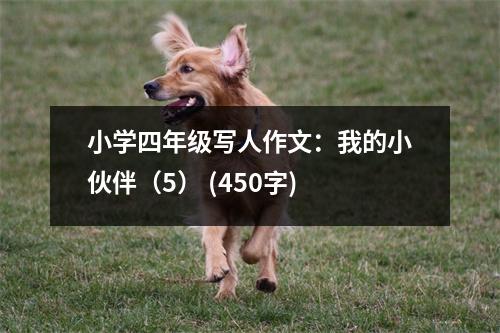小學(xué)四年級寫人作文：我的小伙伴（5） (450字)
