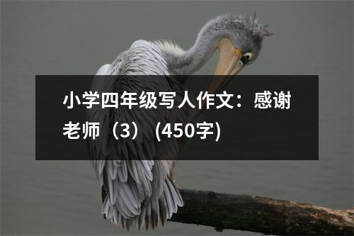 小學(xué)四年級(jí)寫(xiě)人作文：感謝老師（3） (450字)