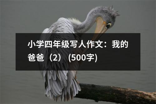 小學(xué)四年級(jí)寫(xiě)人作文：我的爸爸（2） (500字)