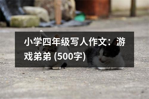 小學(xué)四年級(jí)寫人作文：游戲弟弟 (500字)
