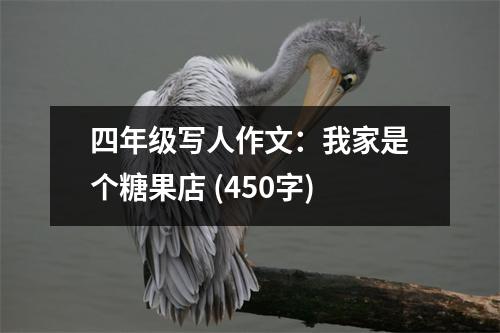 四年級寫人作文：我家是個糖果店 (450字)