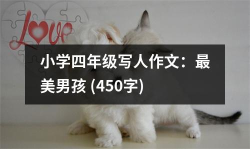 小學(xué)四年級(jí)寫(xiě)人作文：最美男孩 (450字)
