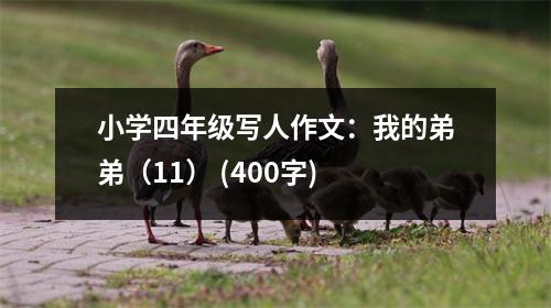 小學(xué)四年級(jí)寫(xiě)人作文：我的弟弟（11） (400字)