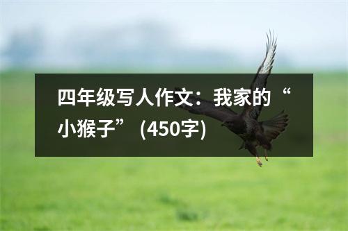 四年級(jí)寫(xiě)人作文：我家的“小猴子” (450字)