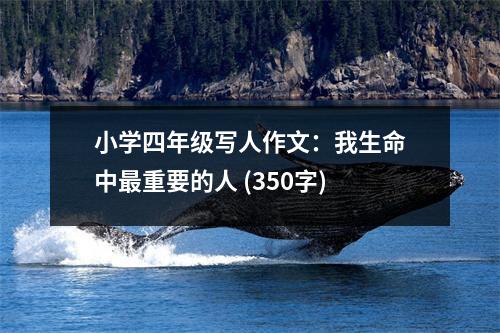 小學(xué)四年級寫人作文：我生命中最重要的人 (350字)