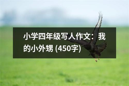 小學(xué)四年級(jí)寫人作文：我的小外甥 (450字)