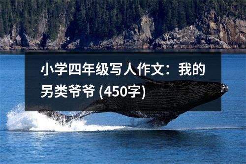 小學(xué)四年級(jí)寫人作文：我的另類爺爺 (450字)
