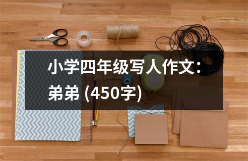 小學四年級寫人作文：弟弟 (450字)