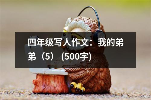 四年級寫人作文：我的弟弟（5） (500字)