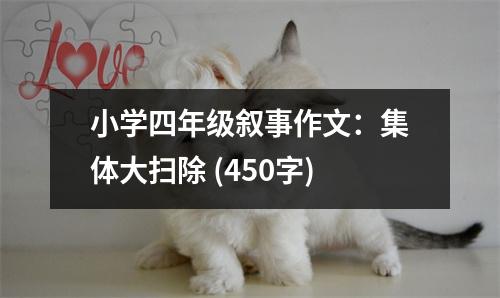 小學(xué)四年級(jí)敘事作文：集體大掃除 (450字)