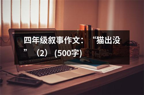 四年級敘事作文：“貓出沒”（2） (500字)