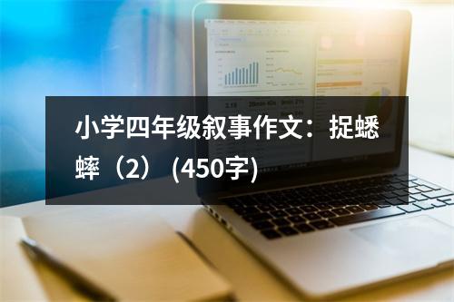 小學(xué)四年級敘事作文：捉蟋蟀（2） (450字)