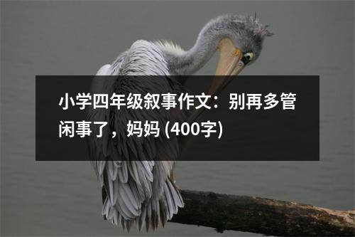 小學(xué)四年級敘事作文：別再多管閑事了，媽媽 (400字)