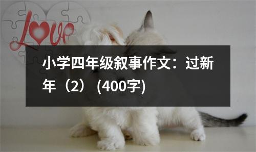 小學(xué)四年級(jí)敘事作文：過(guò)新年（2） (400字)