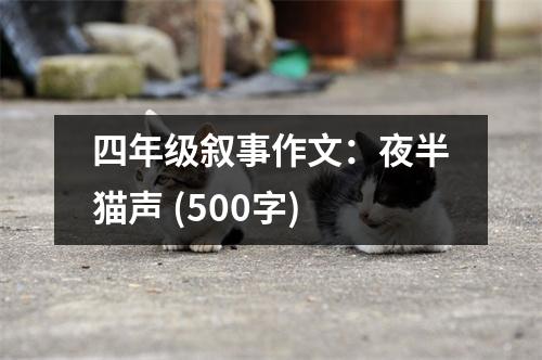 四年級敘事作文：夜半貓聲 (500字)