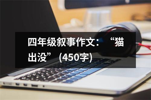 四年級(jí)敘事作文：“貓出沒” (450字)