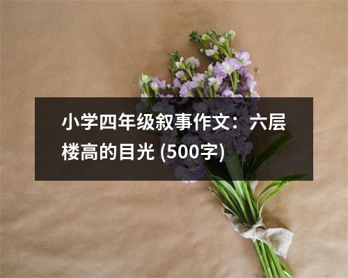 小學(xué)四年級敘事作文：六層樓高的目光 (500字)