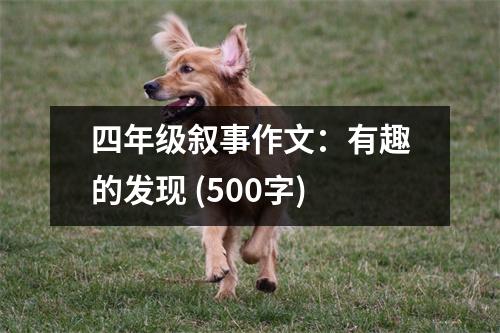 四年級(jí)敘事作文：有趣的發(fā)現(xiàn) (500字)