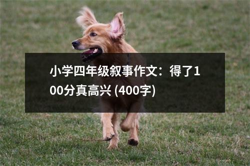 小學(xué)四年級(jí)敘事作文：得了100分真高興 (400字)