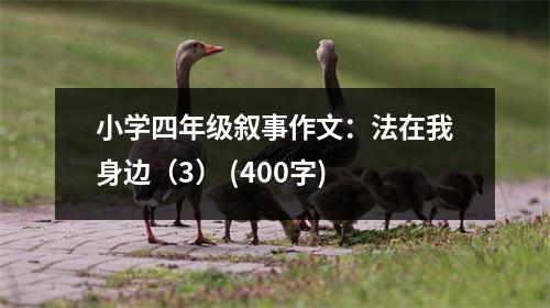 小學四年級敘事作文：法在我身邊（3） (400字)