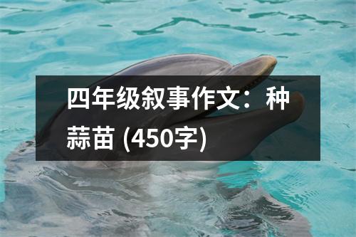 四年級敘事作文：種蒜苗 (450字)
