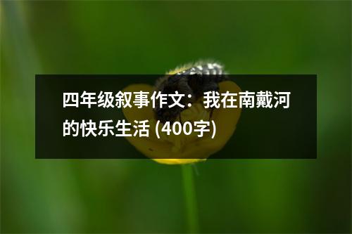 四年級敘事作文：我在南戴河的快樂生活 (400字)