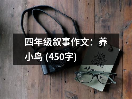 四年級(jí)敘事作文：養(yǎng)小鳥 (450字)