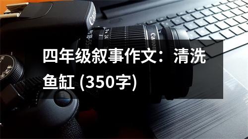 四年級敘事作文：清洗魚缸 (350字)