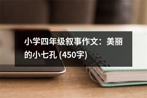 小學(xué)四年級敘事作文：美麗的小七孔 (450字)