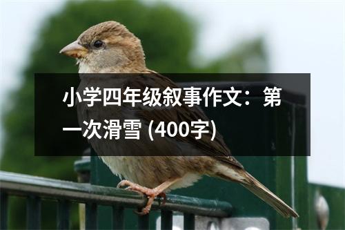 小學四年級敘事作文：第一次滑雪 (400字)