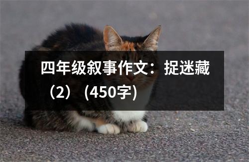 四年級(jí)敘事作文：捉迷藏（2） (450字)