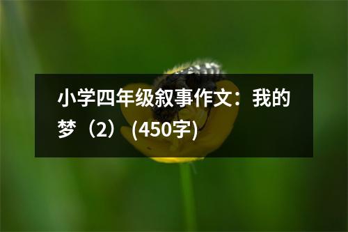 小學(xué)四年級敘事作文：我的夢（2） (450字)