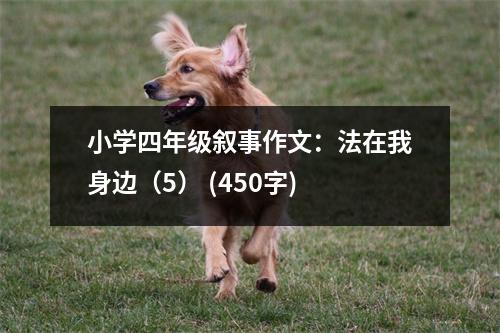 小學四年級敘事作文：法在我身邊（5） (450字)